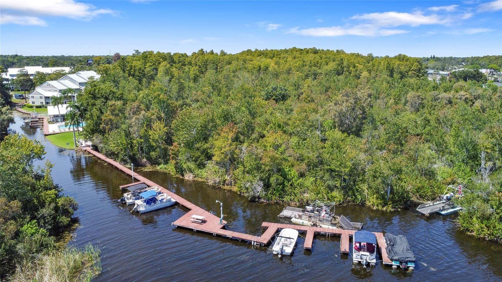 2577 DOLLY BAY DRIVE, #205, Palm Harbor, FL 34684