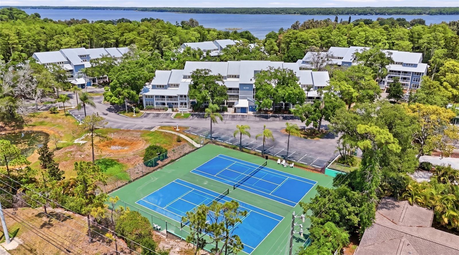 2577 DOLLY BAY DRIVE, #205, Palm Harbor, FL 34684