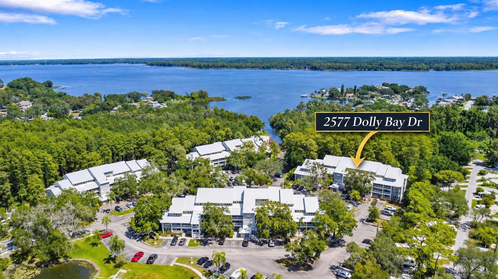 2577 DOLLY BAY DRIVE, #205, Palm Harbor, FL 34684