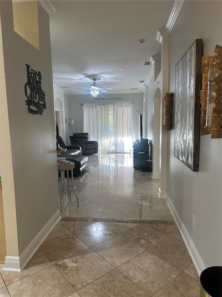 7856 STONELEIGH DRIVE, Land O Lakes, FL 34637 7856 STONELEIGH DRIVE, Land O Lakes, FL 34637