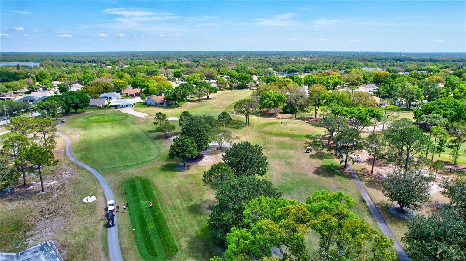 2297 E LARK CIRCLE E, #D, Palm Harbor, FL 34684