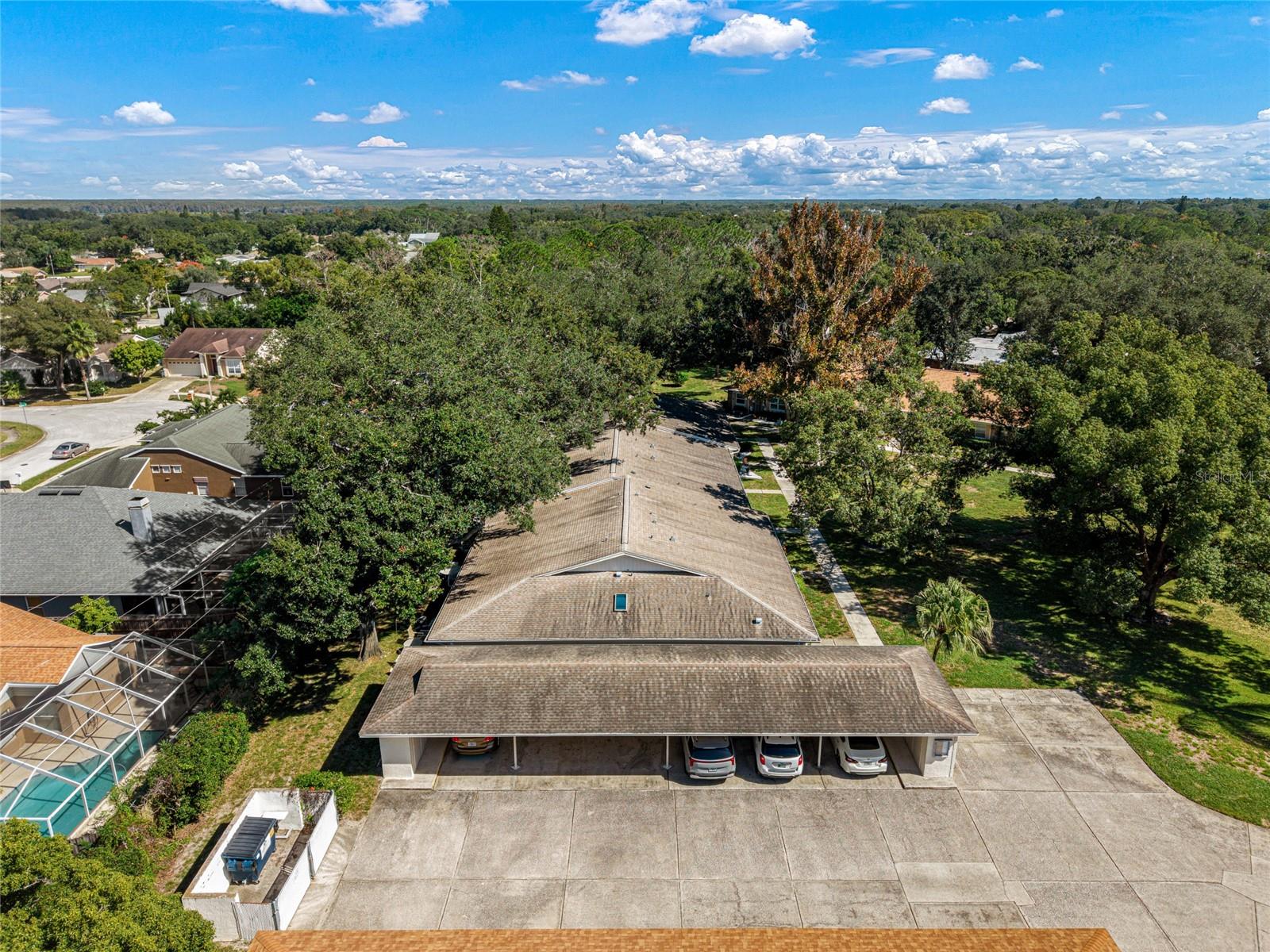 2297 E LARK CIRCLE E, #D, Palm Harbor, FL 34684
