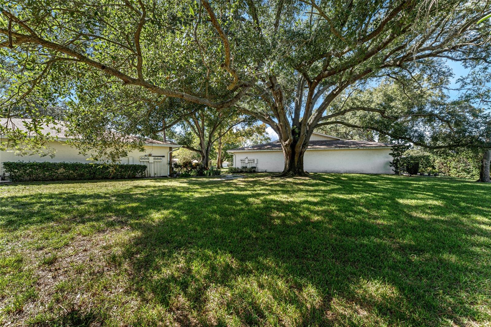 2297 E LARK CIRCLE E, #D, Palm Harbor, FL 34684