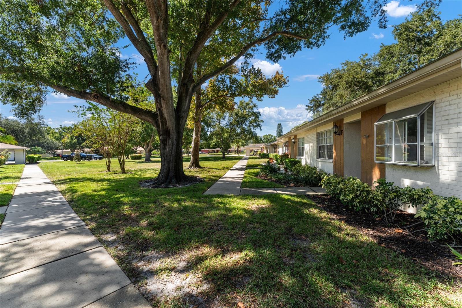 2297 E LARK CIRCLE E, #D, Palm Harbor, FL 34684