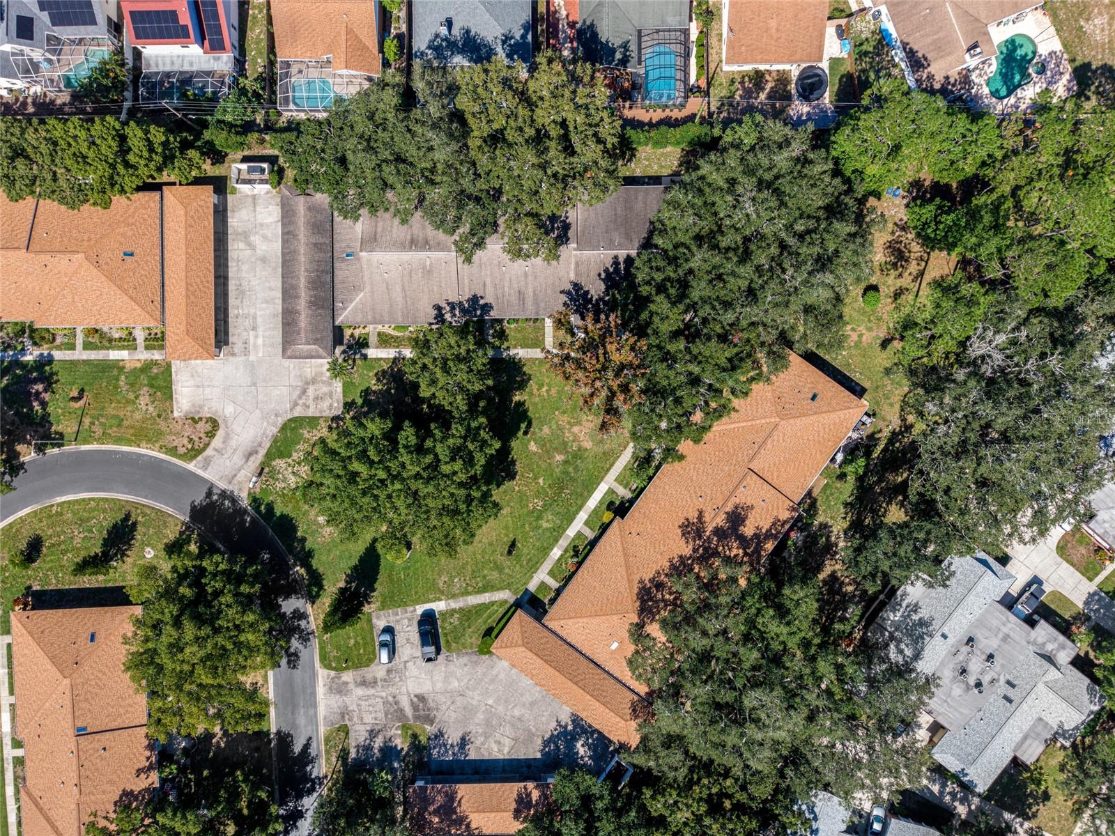 2297 E LARK CIRCLE E, #D, Palm Harbor, FL 34684