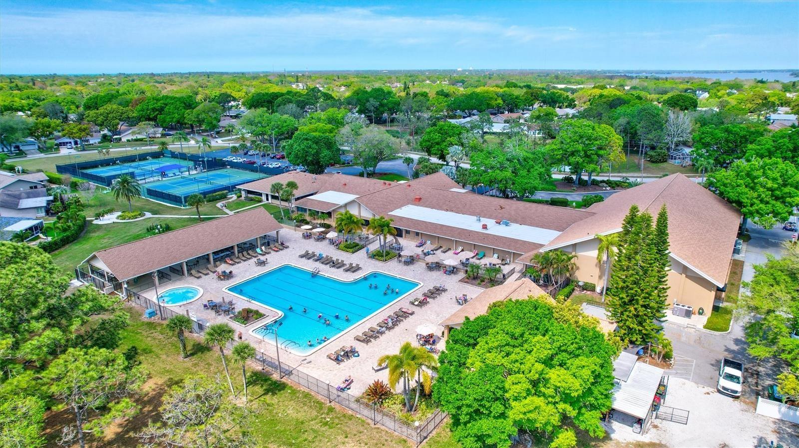 2297 E LARK CIRCLE E, #D, Palm Harbor, FL 34684