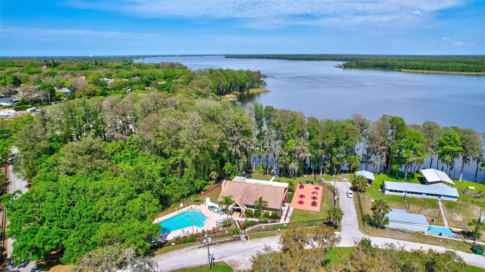 2297 E LARK CIRCLE E, #D, Palm Harbor, FL 34684