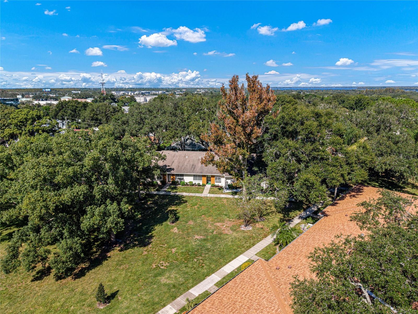 2297 E LARK CIRCLE E, #D, Palm Harbor, FL 34684