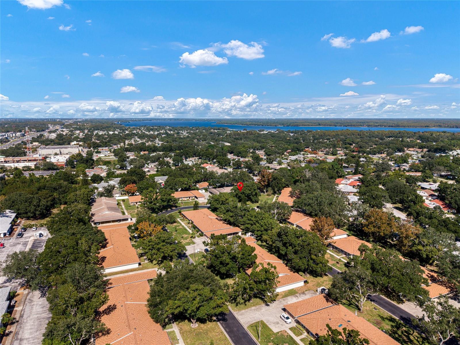 2297 E LARK CIRCLE E, #D, Palm Harbor, FL 34684