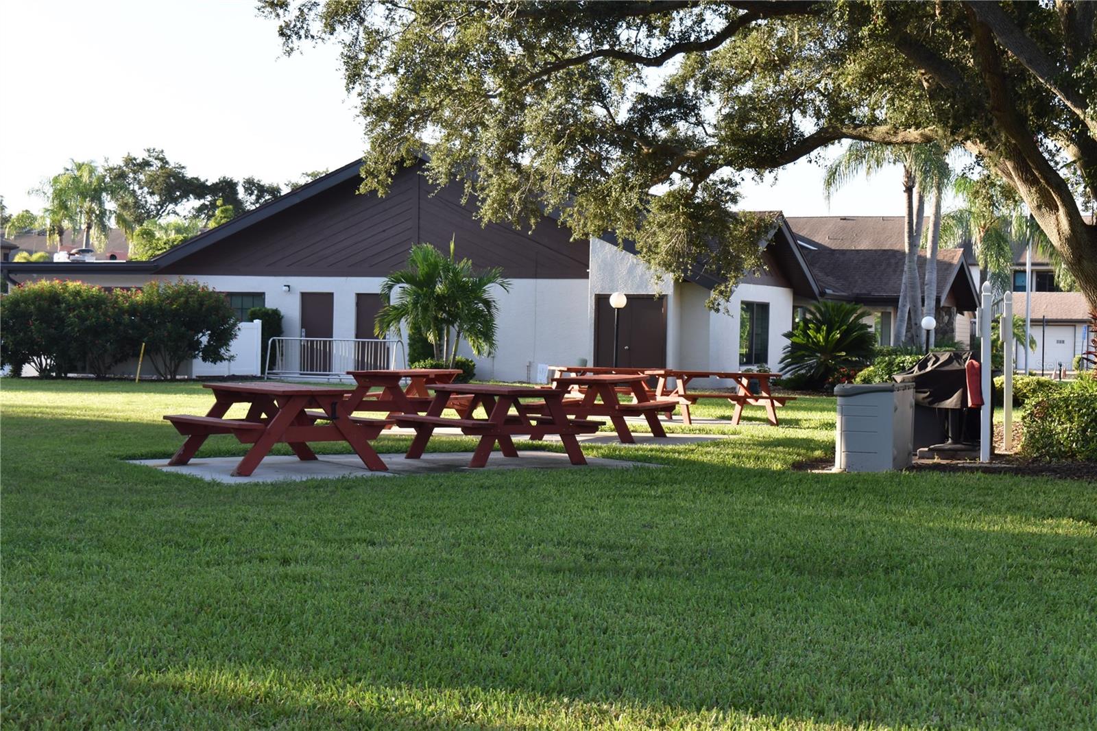 Picnic & Grill area