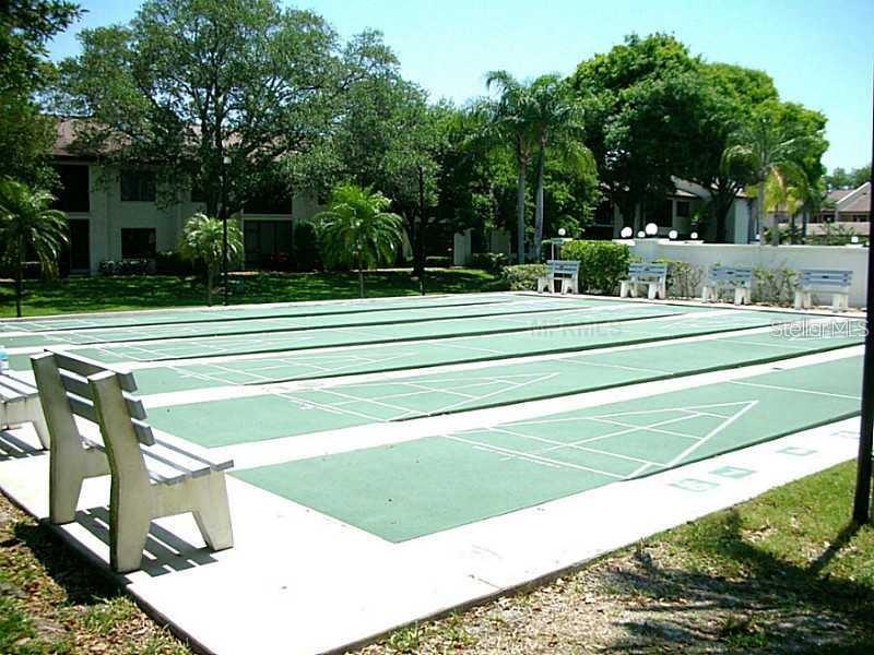 Shuffle Board Courts