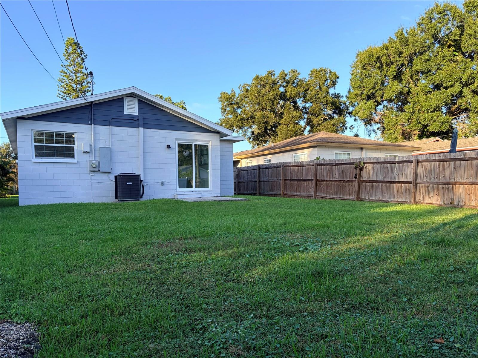 Back Yard
