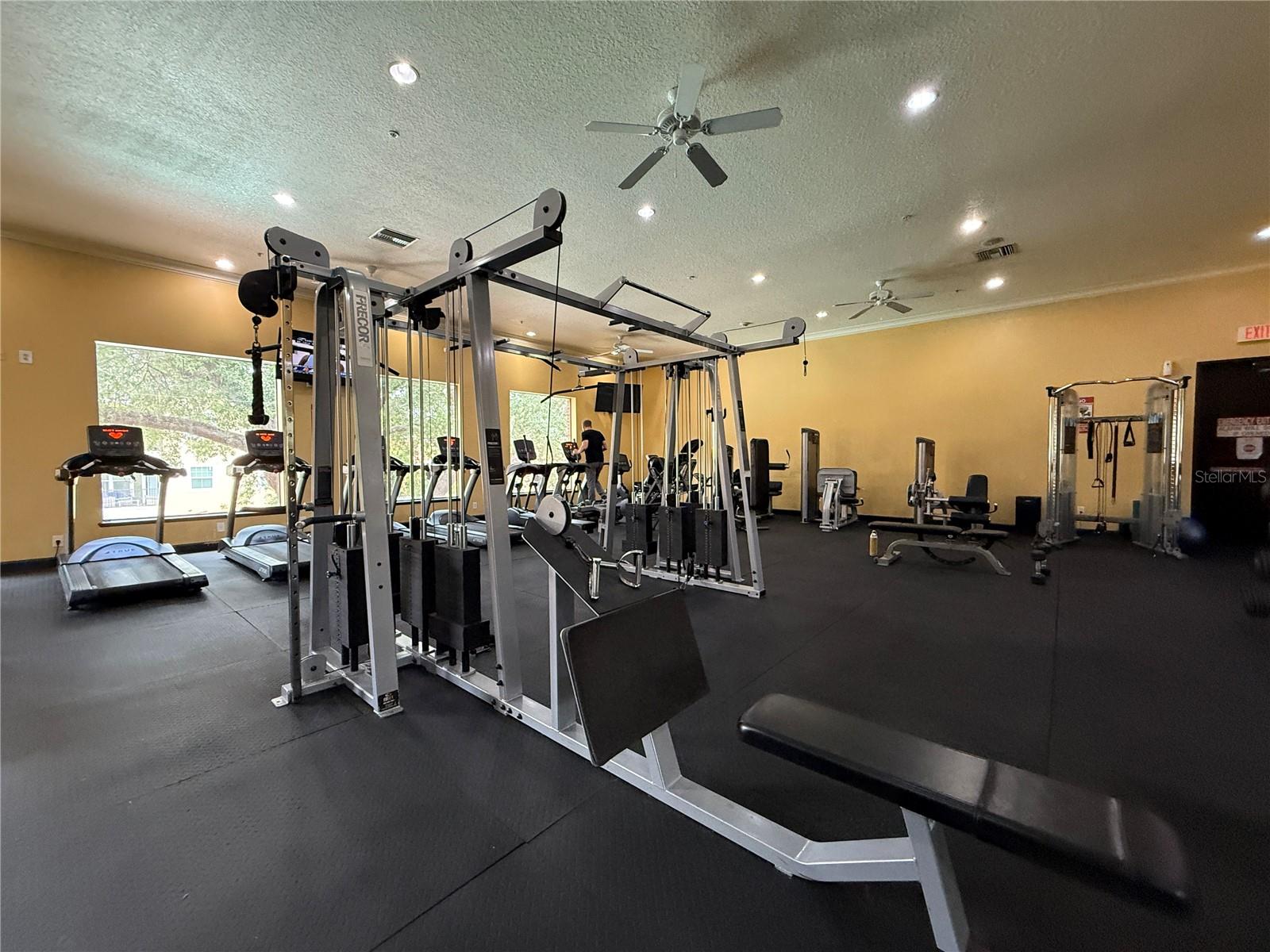 1910 E PALM AVENUE, #11321, Tampa, FL 33605