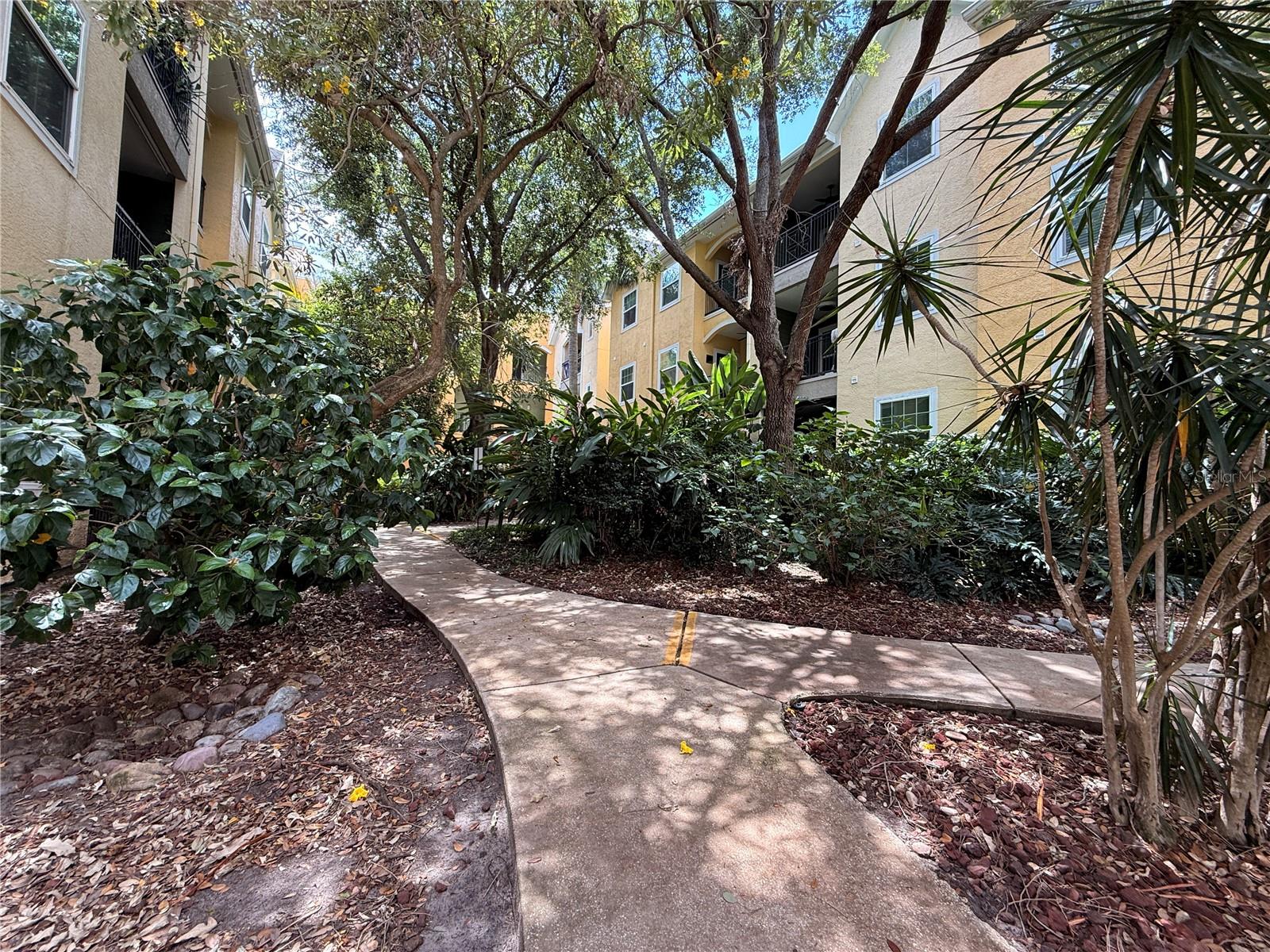 1910 E PALM AVENUE, #11321, Tampa, FL 33605