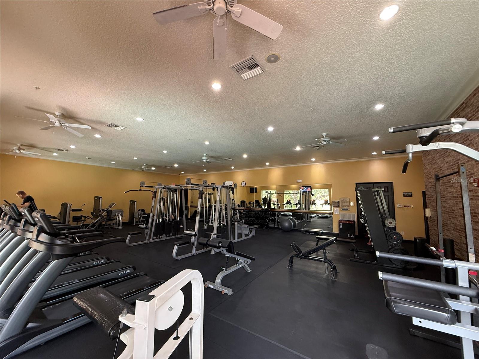 1910 E PALM AVENUE, #11321, Tampa, FL 33605