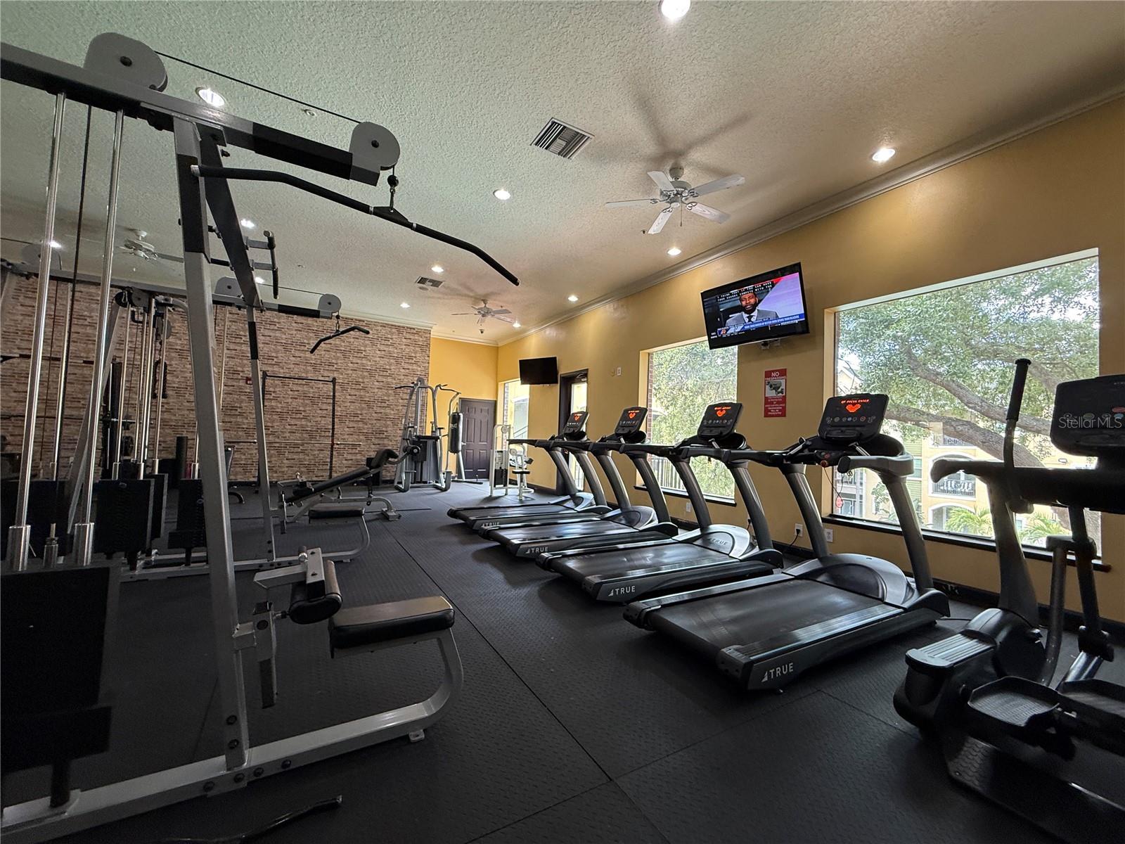 1910 E PALM AVENUE, #11321, Tampa, FL 33605