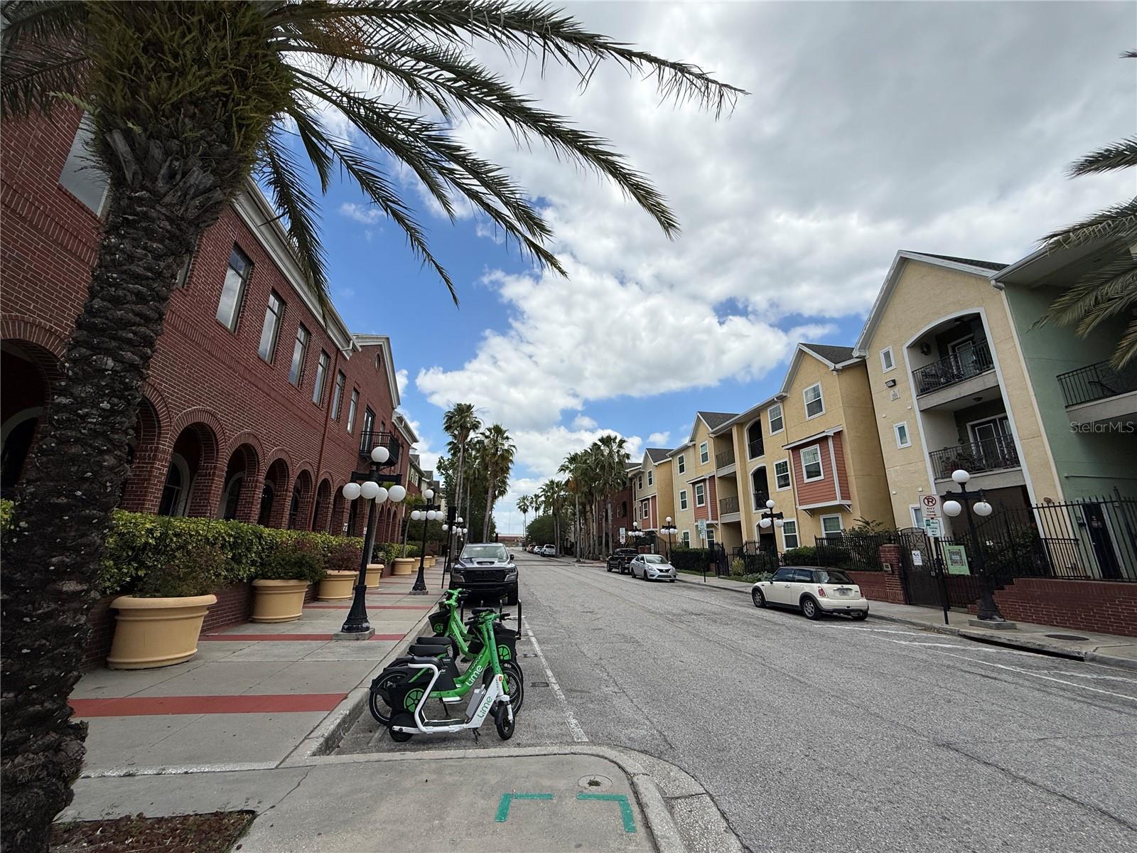 1910 E PALM AVENUE, #11321, Tampa, FL 33605