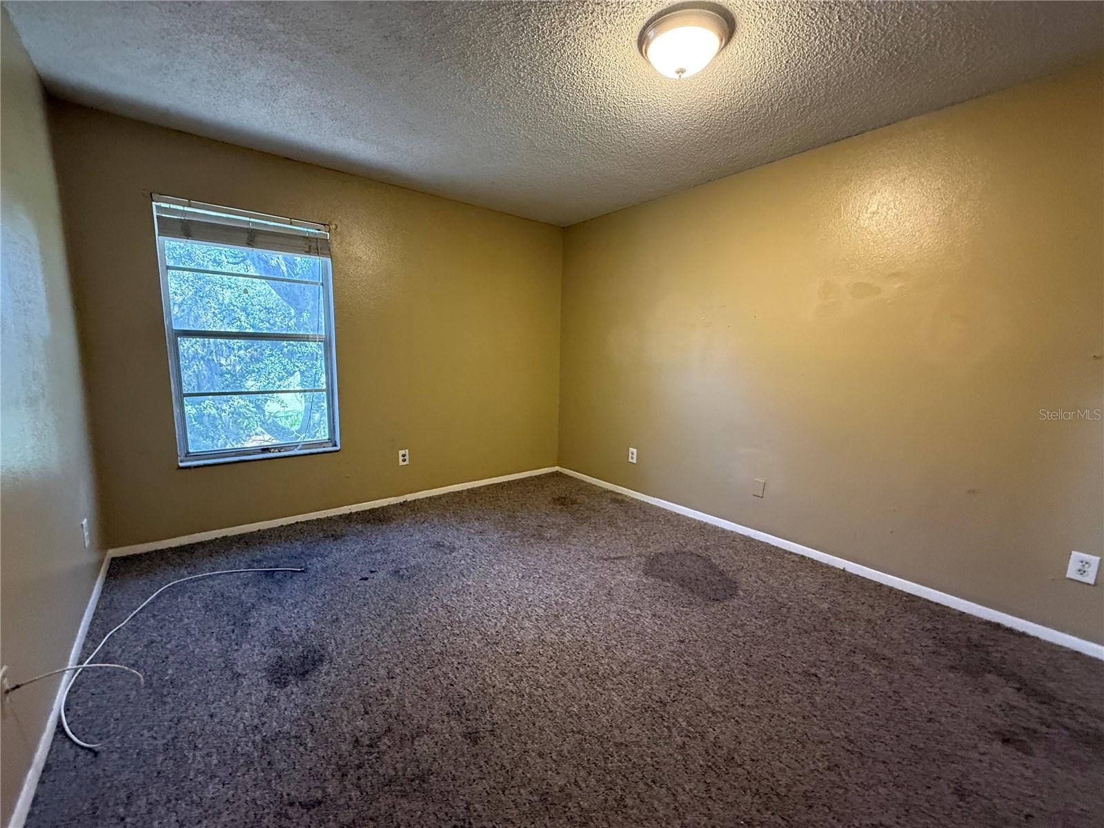 4023 DREAM OAK PLACE, #204, Tampa, FL 33613