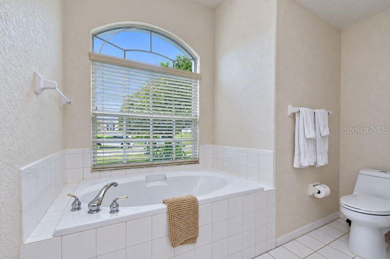 316 CRYSTAL GOBLET COURT, Valrico, FL 33594