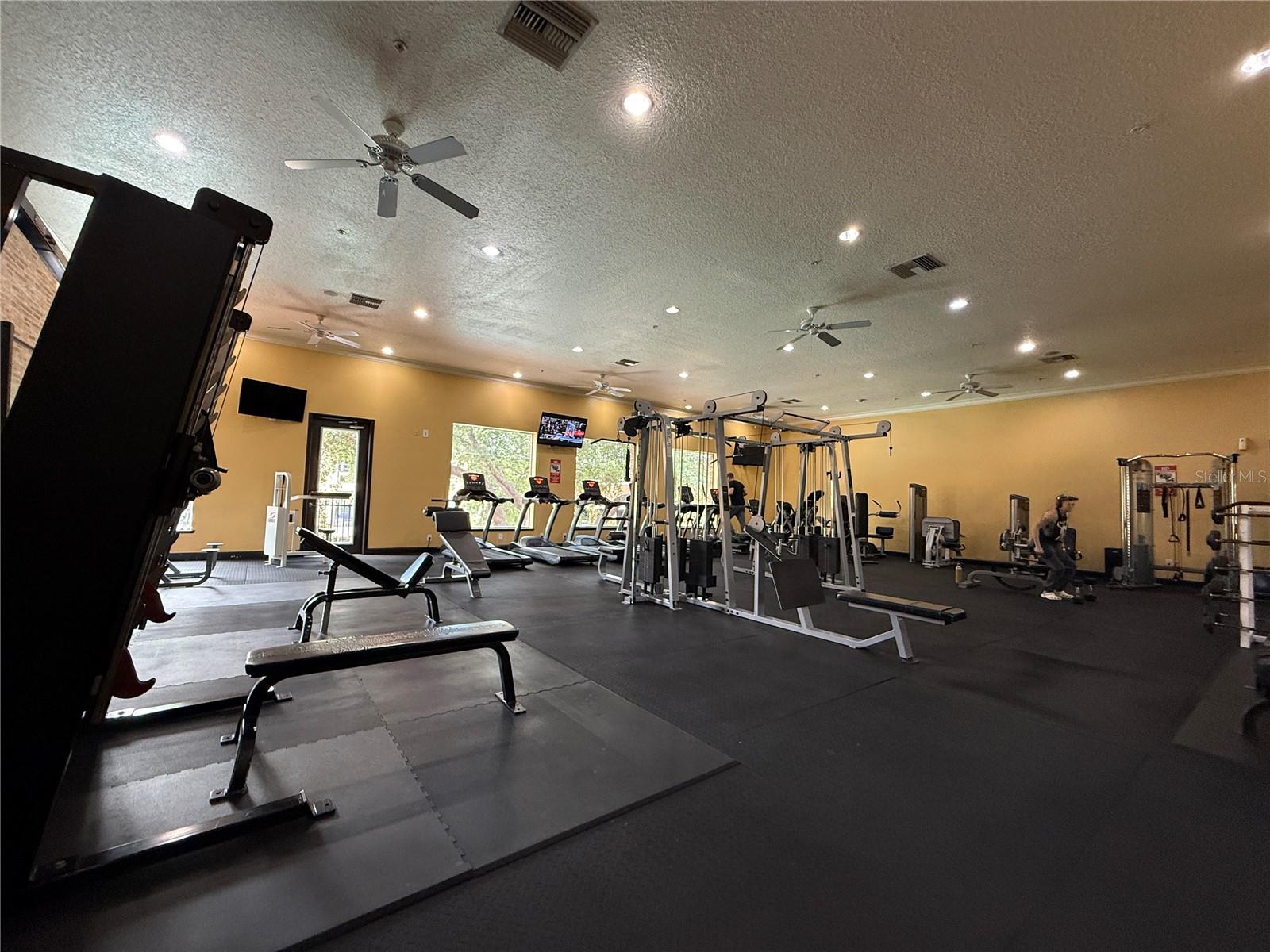 1810 E PALM AVENUE, #1202, Tampa, FL 33605