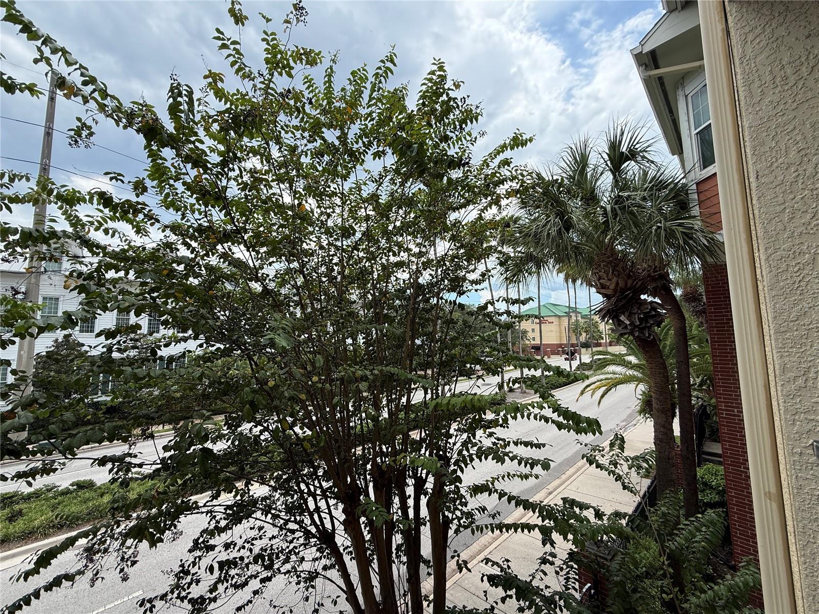 1810 E PALM AVENUE, #1202, Tampa, FL 33605