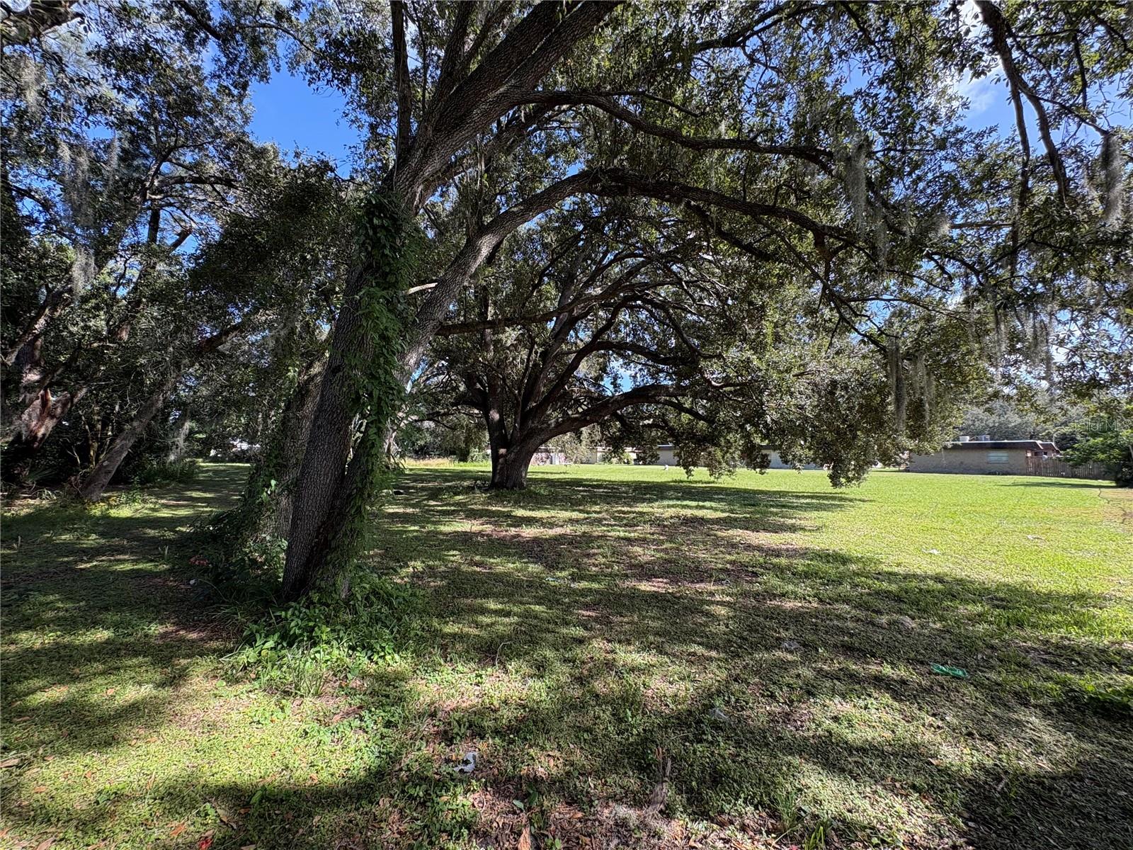 1116 E 142ND AVENUE, Tampa, FL 33613