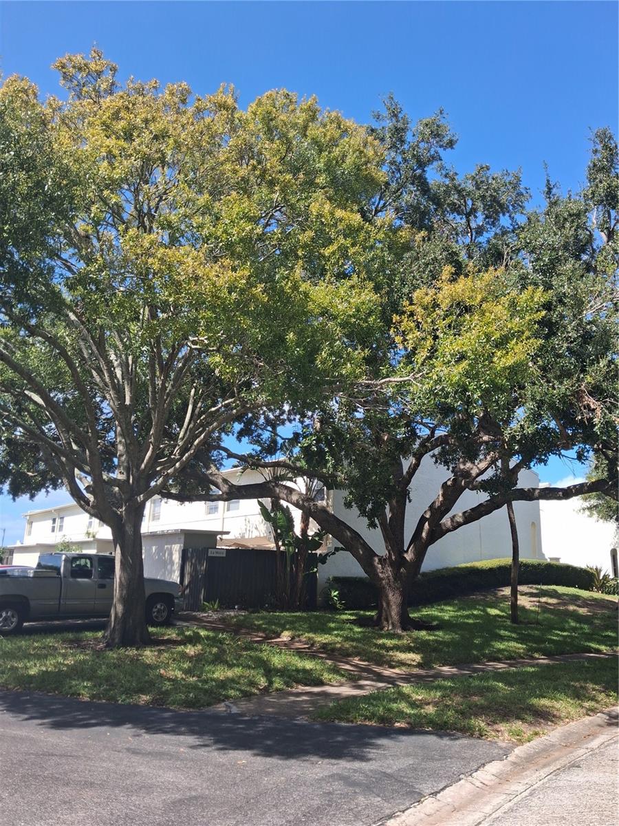 4310 LA MORA COURT, Tampa, FL 33611 4310 LA MORA COURT, Tampa, FL 33611