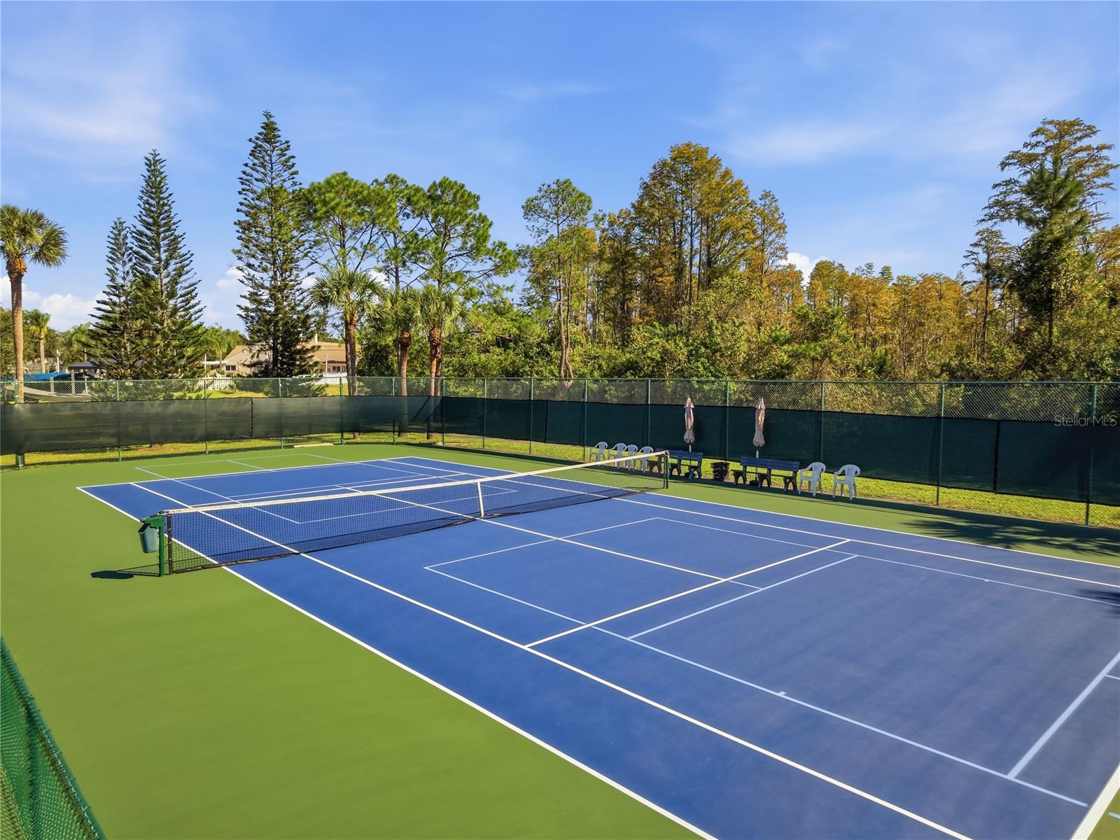 7451 TROVITA ROAD, Land O Lakes, FL 34637