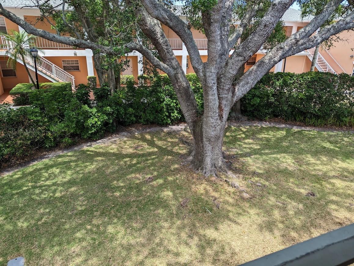 8304 BARDMOOR BOULEVARD, #203 (22), Seminole, FL 33777