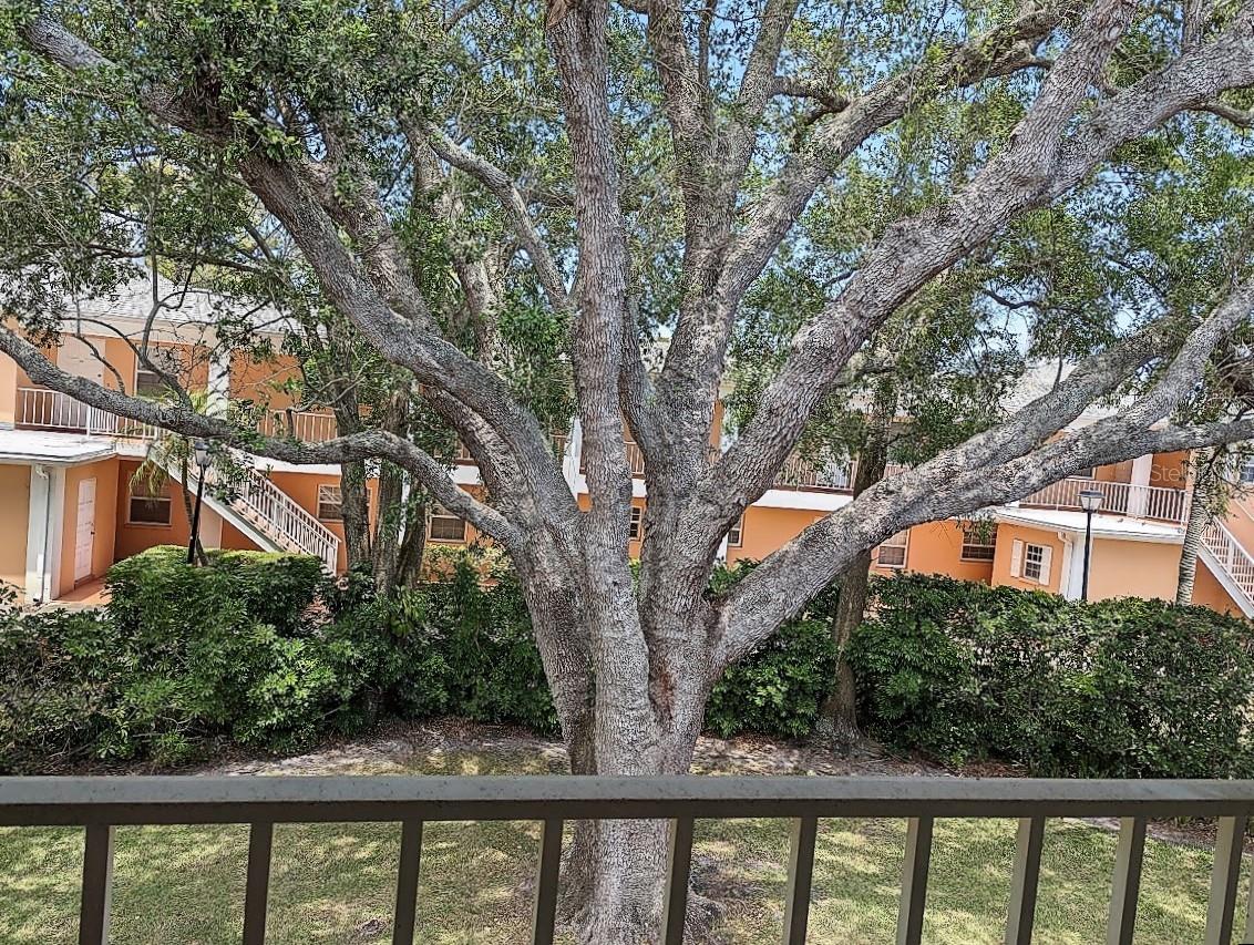 8304 BARDMOOR BOULEVARD, #203 (22), Seminole, FL 33777