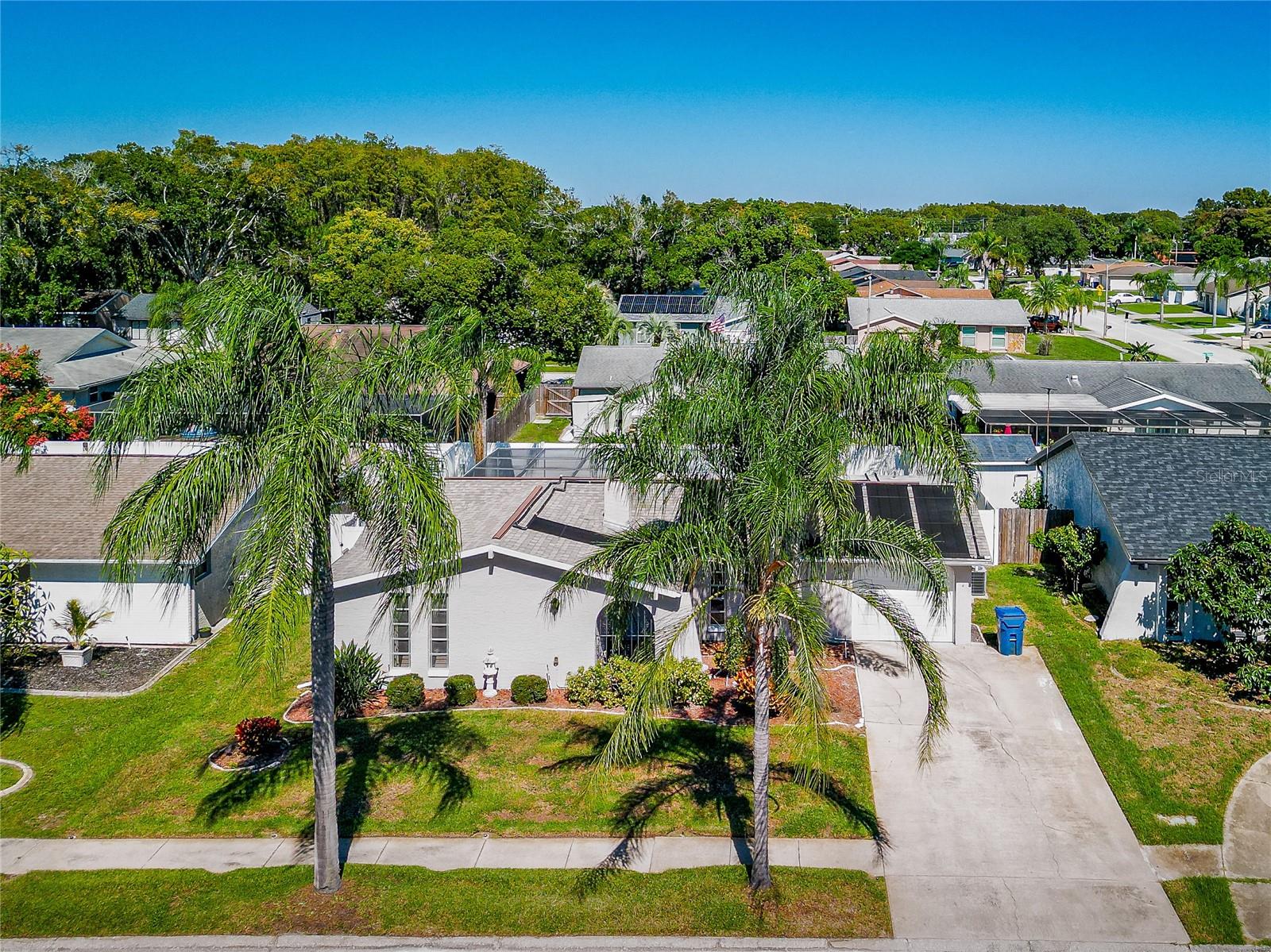 8135 BROWN PELICAN AVENUE, New Port Richey, FL 34653