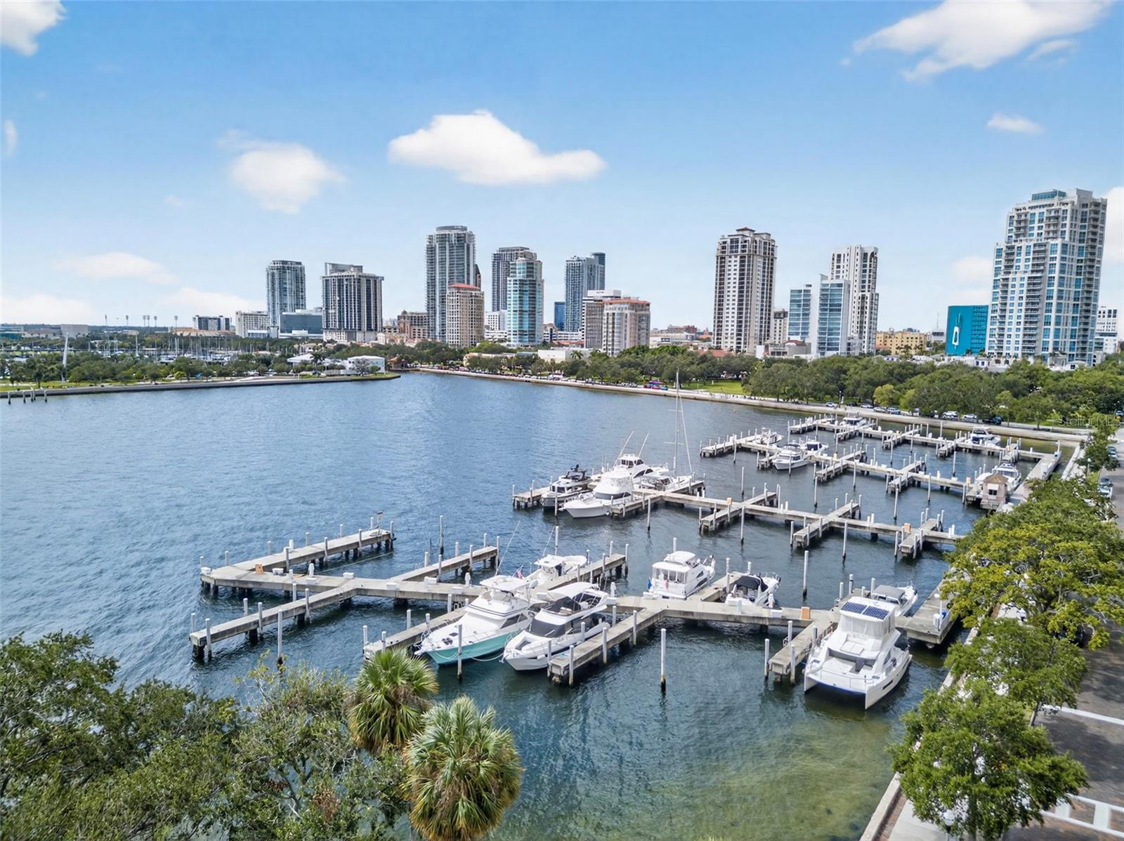 555 5TH AVENUE NE, #332, St Petersburg, FL 33701