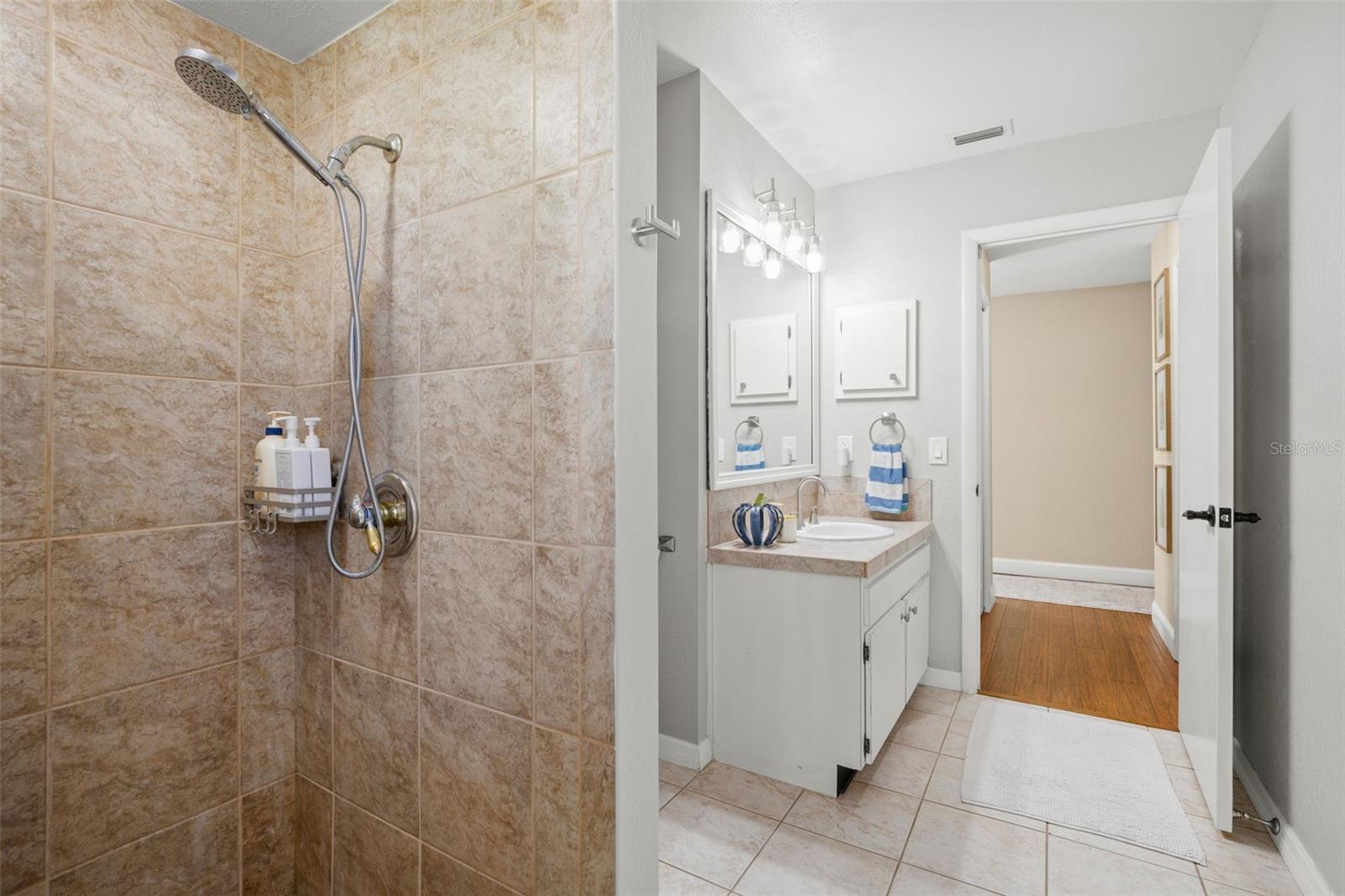 Guest Bathroom #1