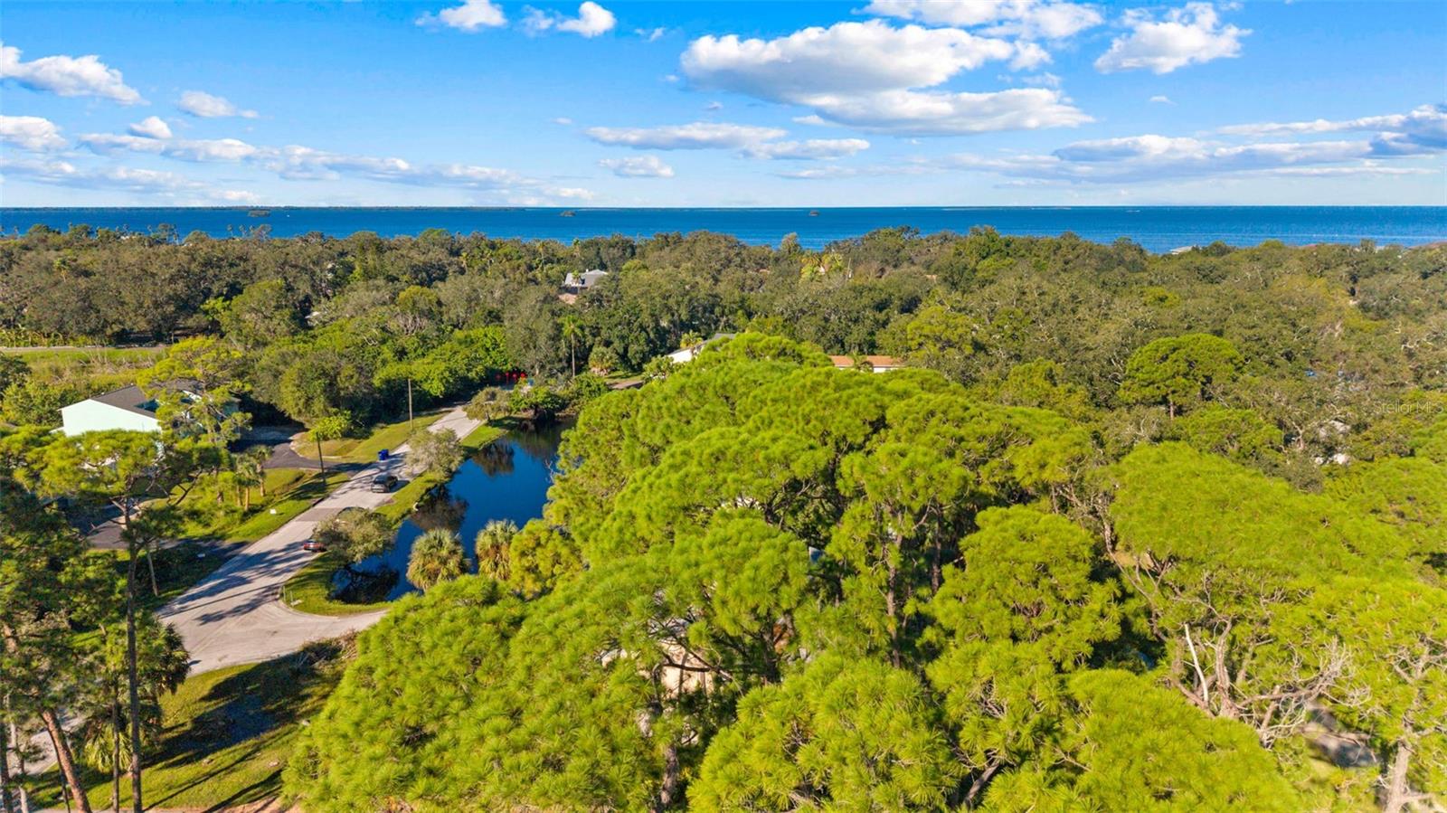 Crystal Beach, FL 34681