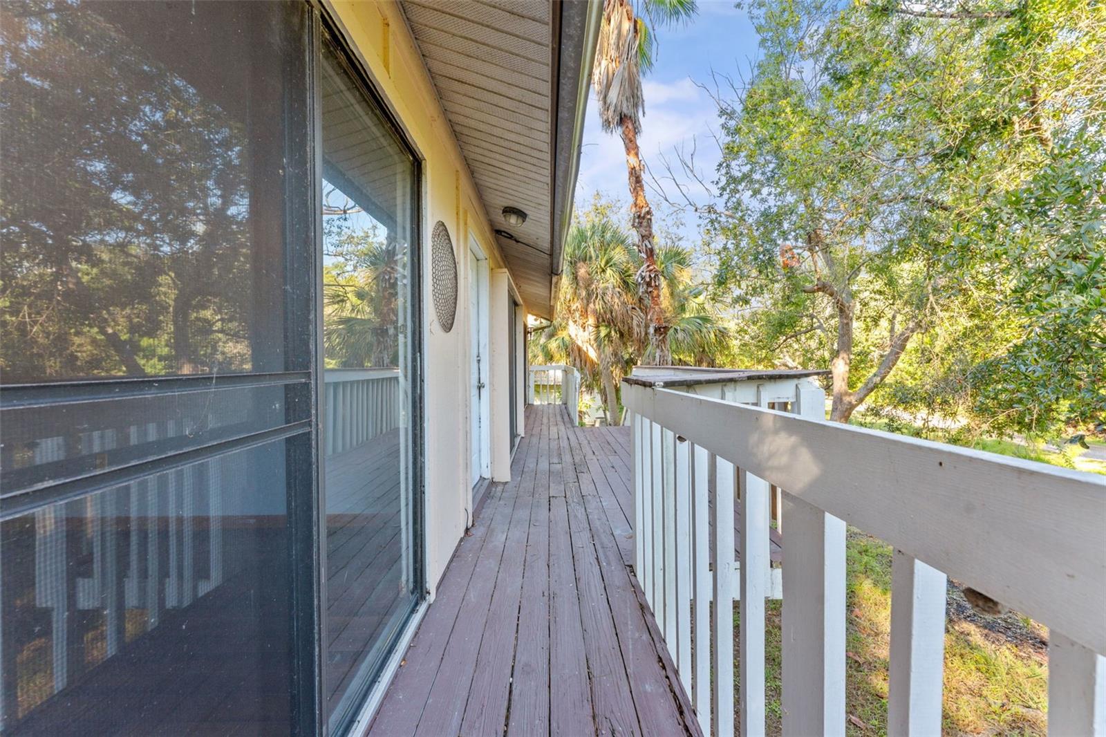 Crystal Beach, FL 34681