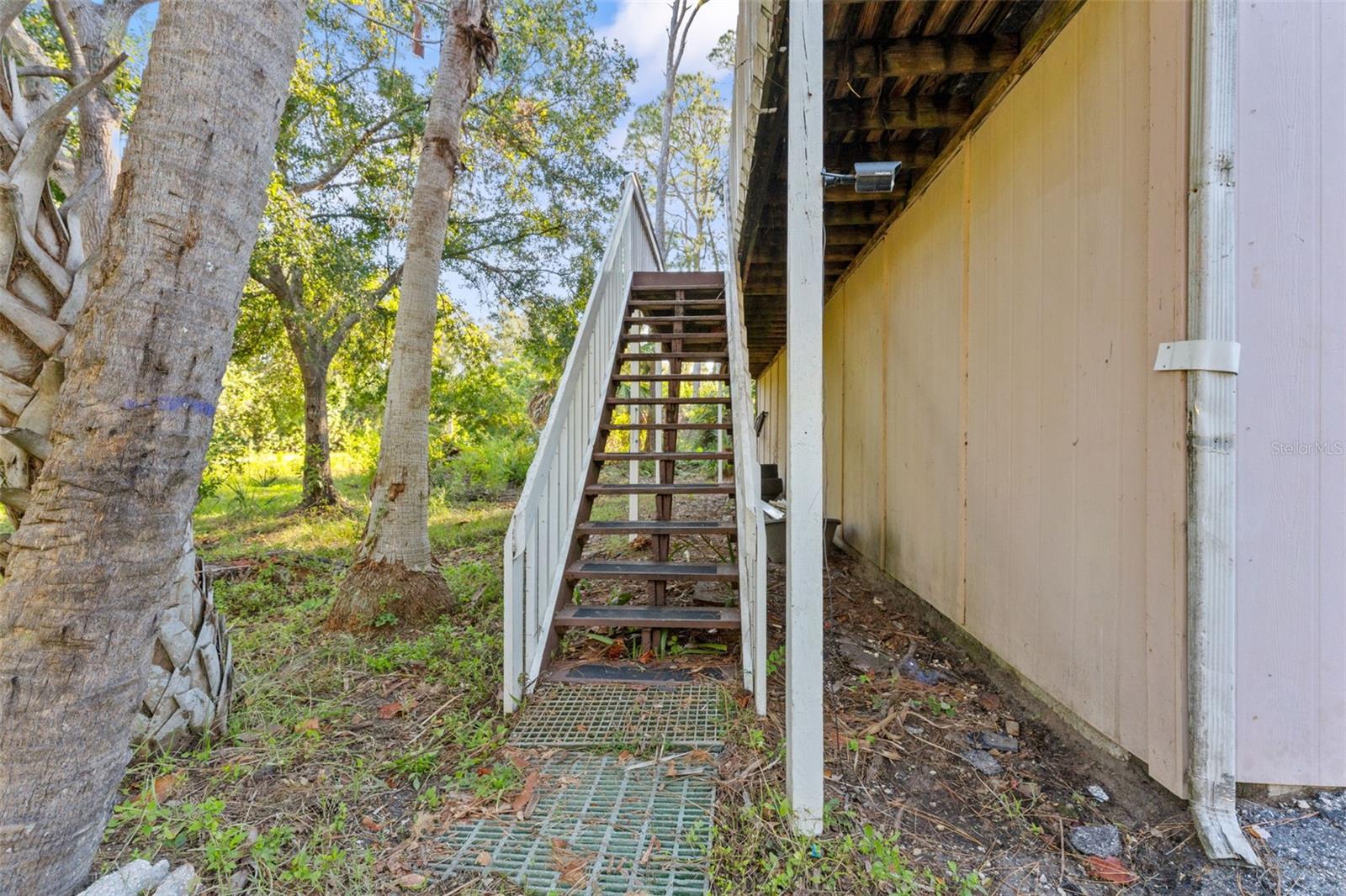 Crystal Beach, FL 34681