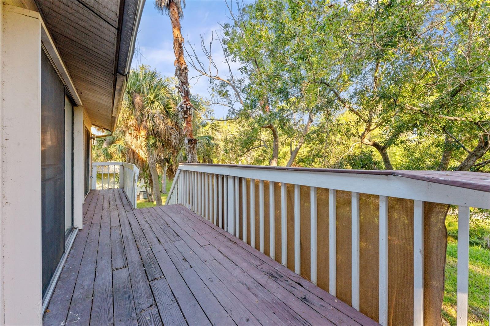 Crystal Beach, FL 34681