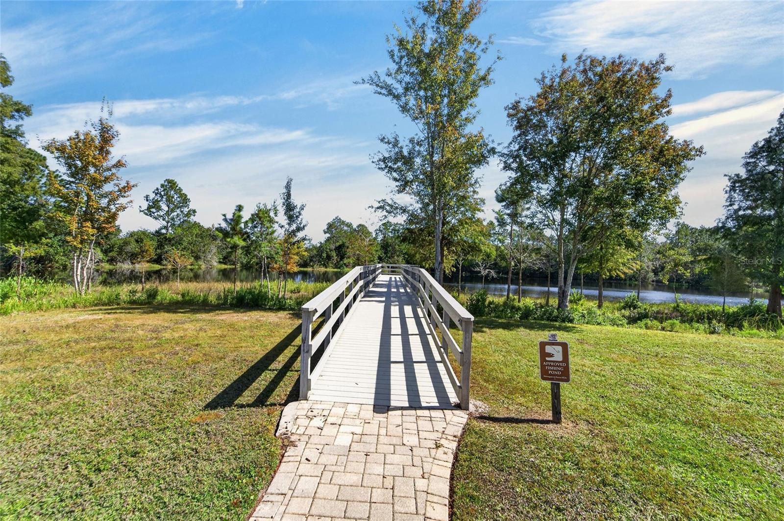 3007 SILVERMILL LOOP, Land O Lakes, FL 34638
