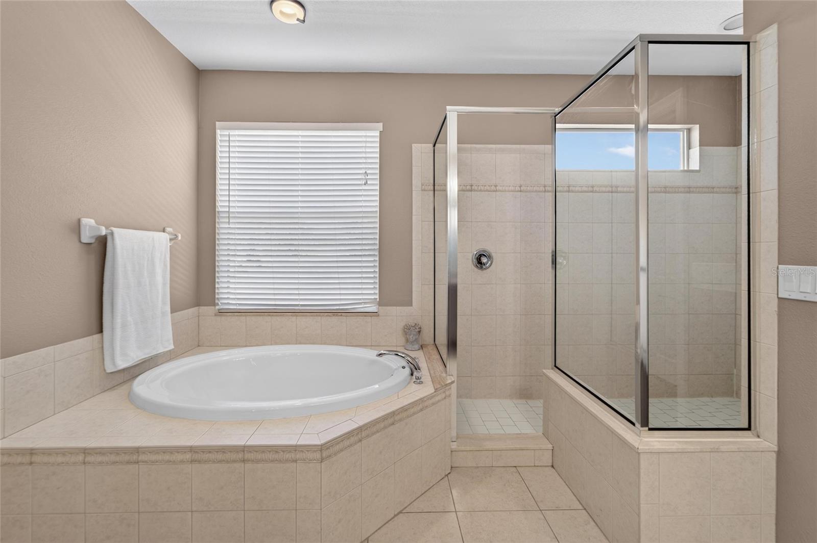 3007 SILVERMILL LOOP, Land O Lakes, FL 34638