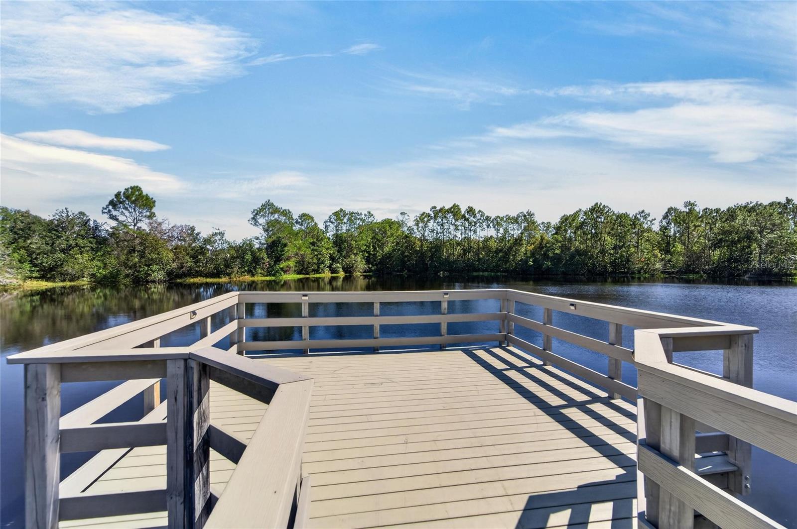 3007 SILVERMILL LOOP, Land O Lakes, FL 34638