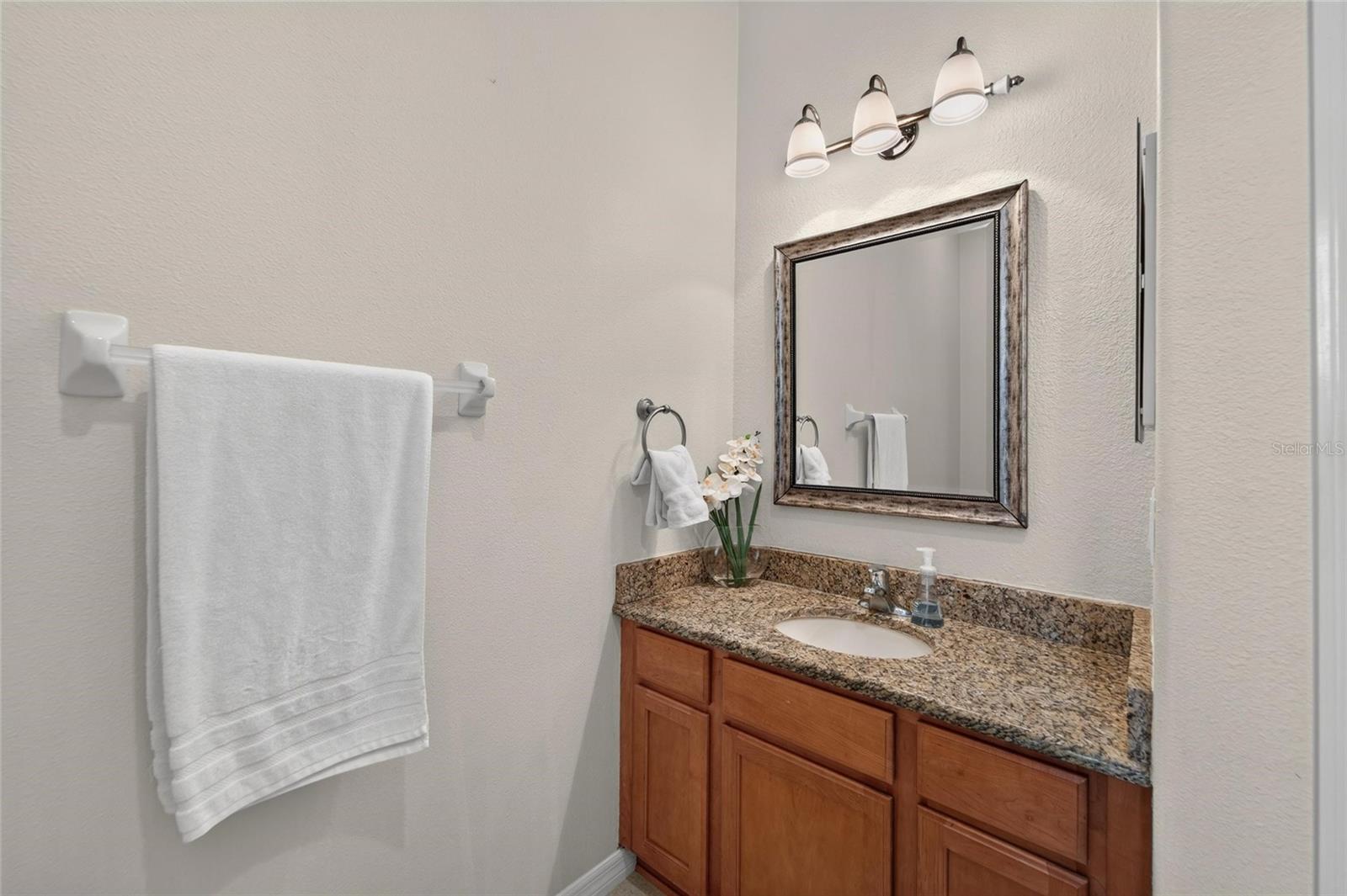 3007 SILVERMILL LOOP, Land O Lakes, FL 34638