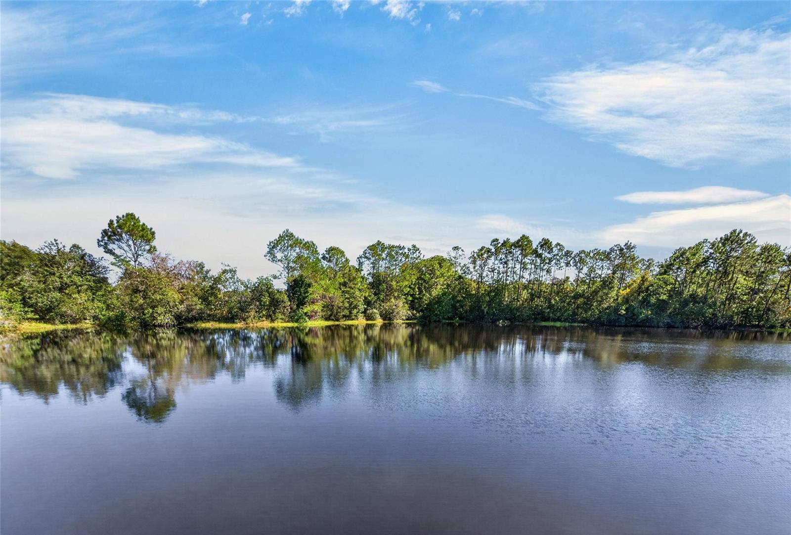 3007 SILVERMILL LOOP, Land O Lakes, FL 34638
