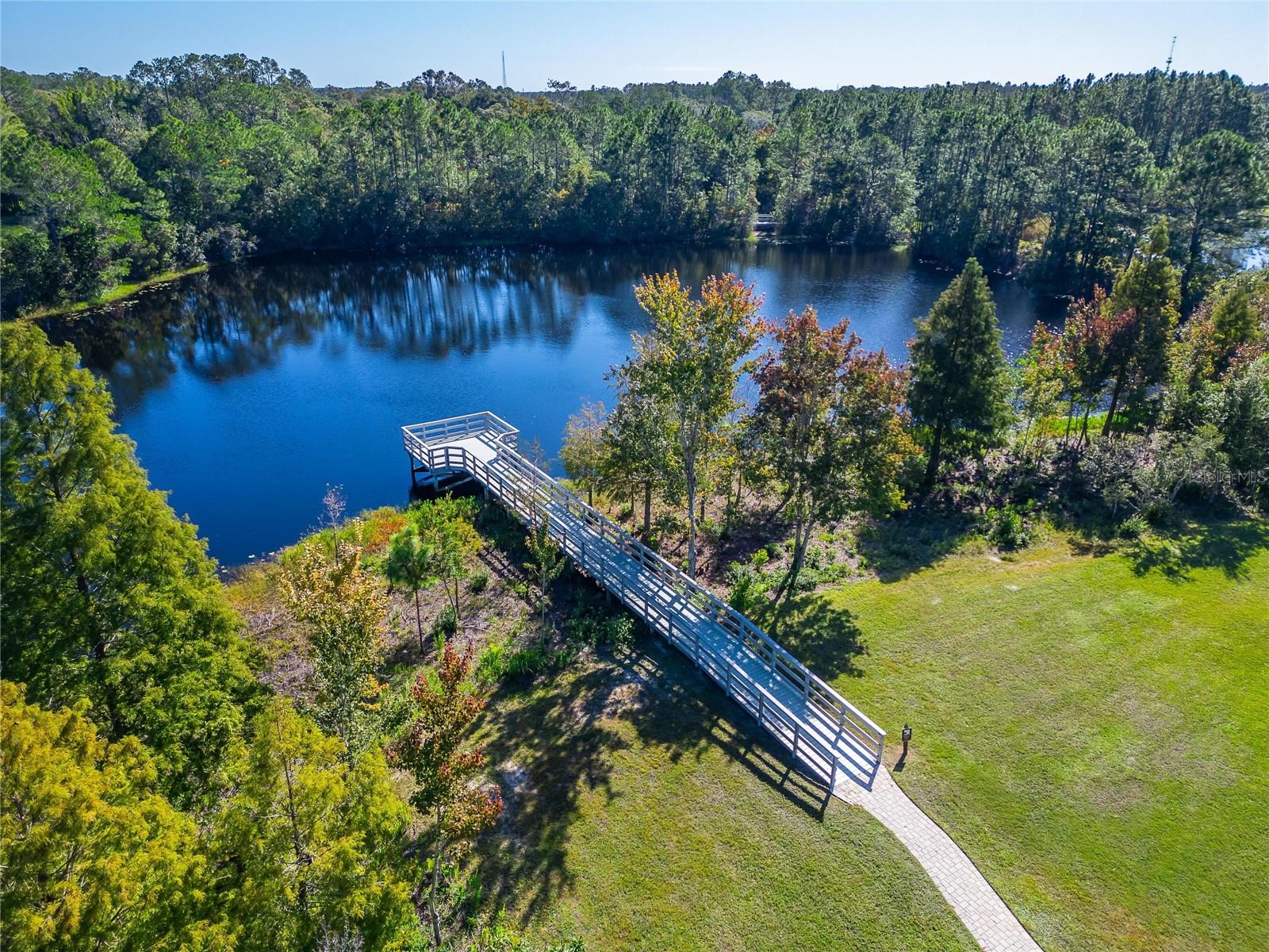 3007 SILVERMILL LOOP, Land O Lakes, FL 34638