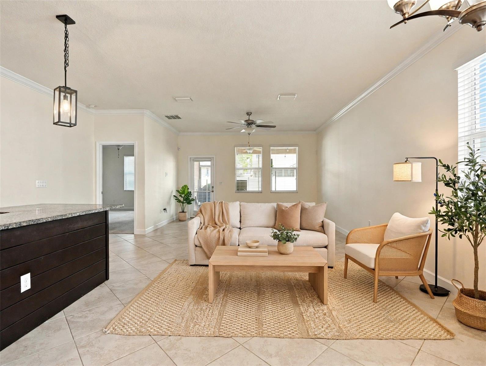 Living Room (virtually staged)
