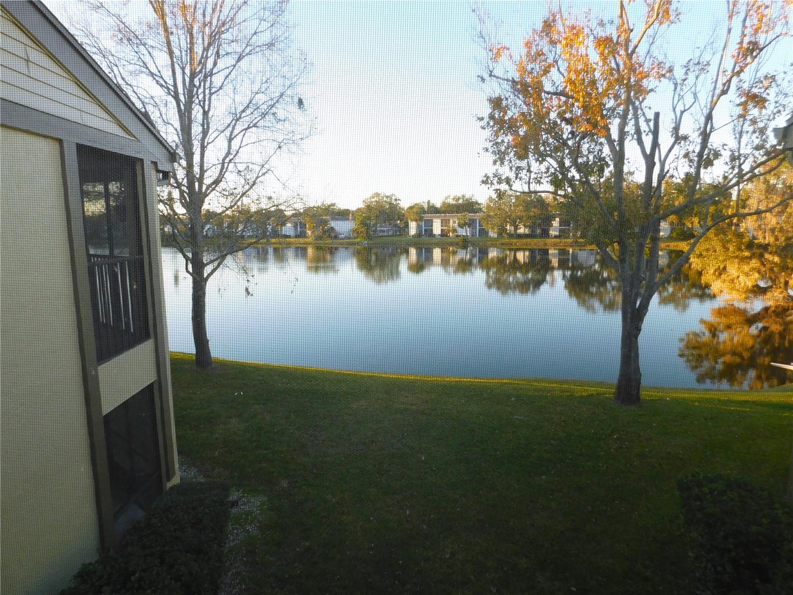 218 WOODLAKE WYNDE, #218, Oldsmar, FL 34677