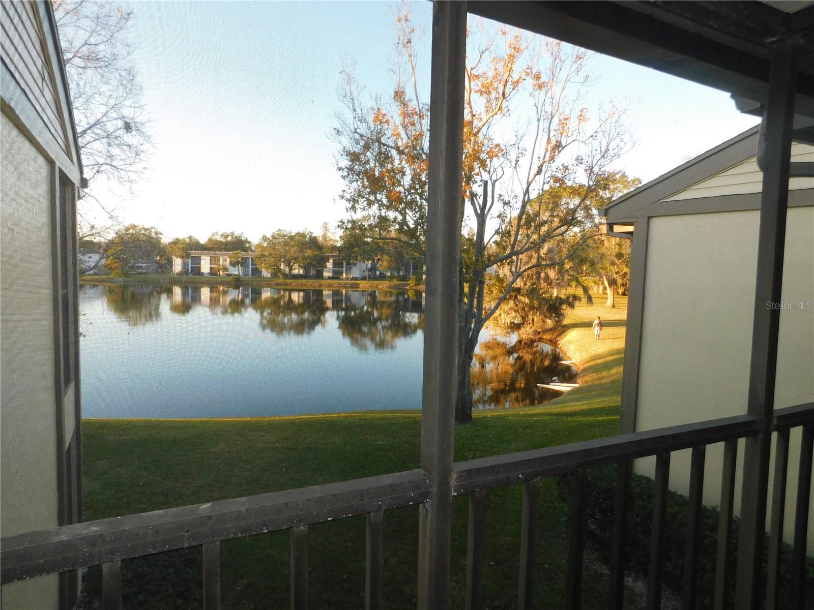 218 WOODLAKE WYNDE, #218, Oldsmar, FL 34677