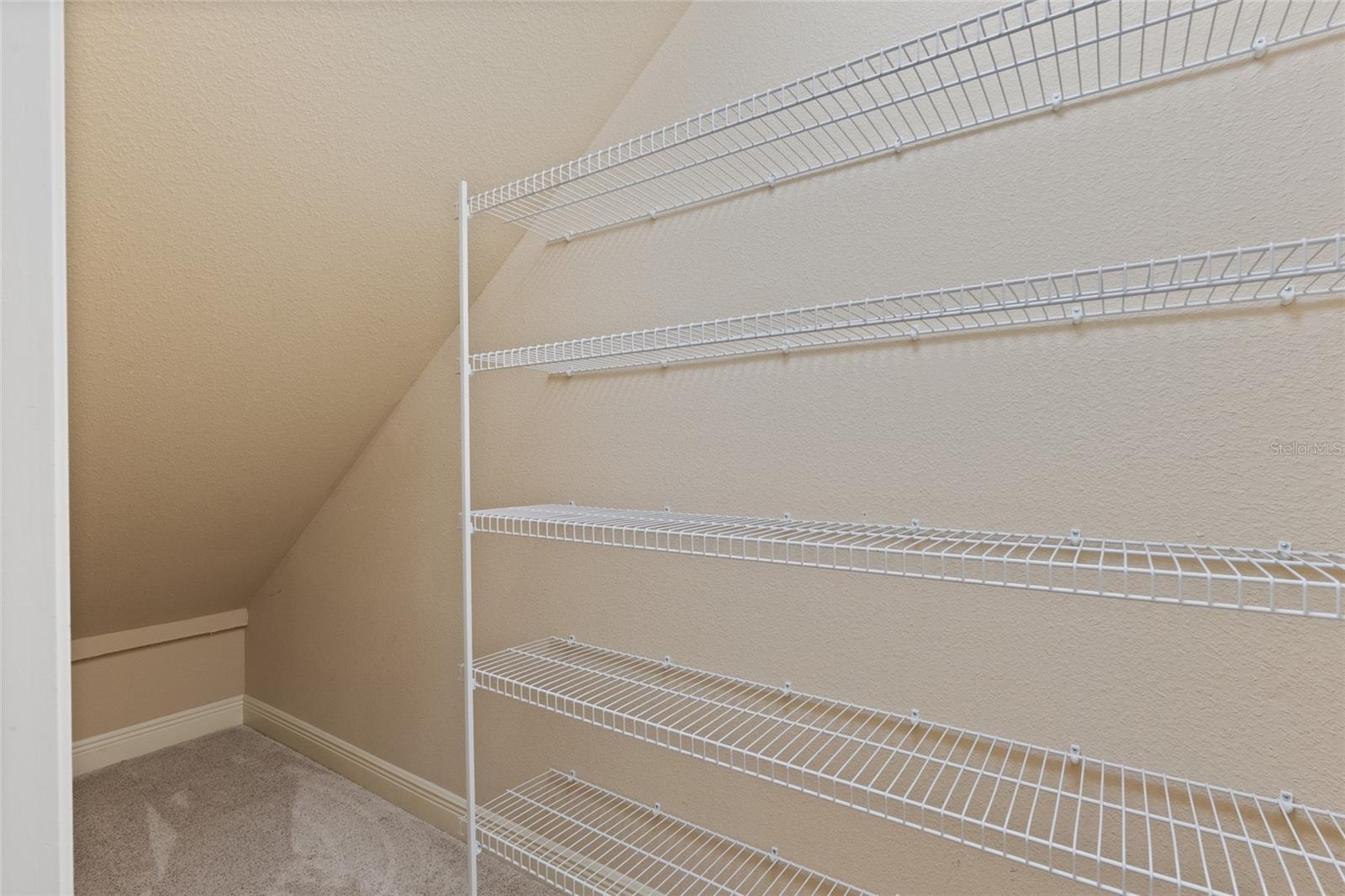 Closet Under Stairway
