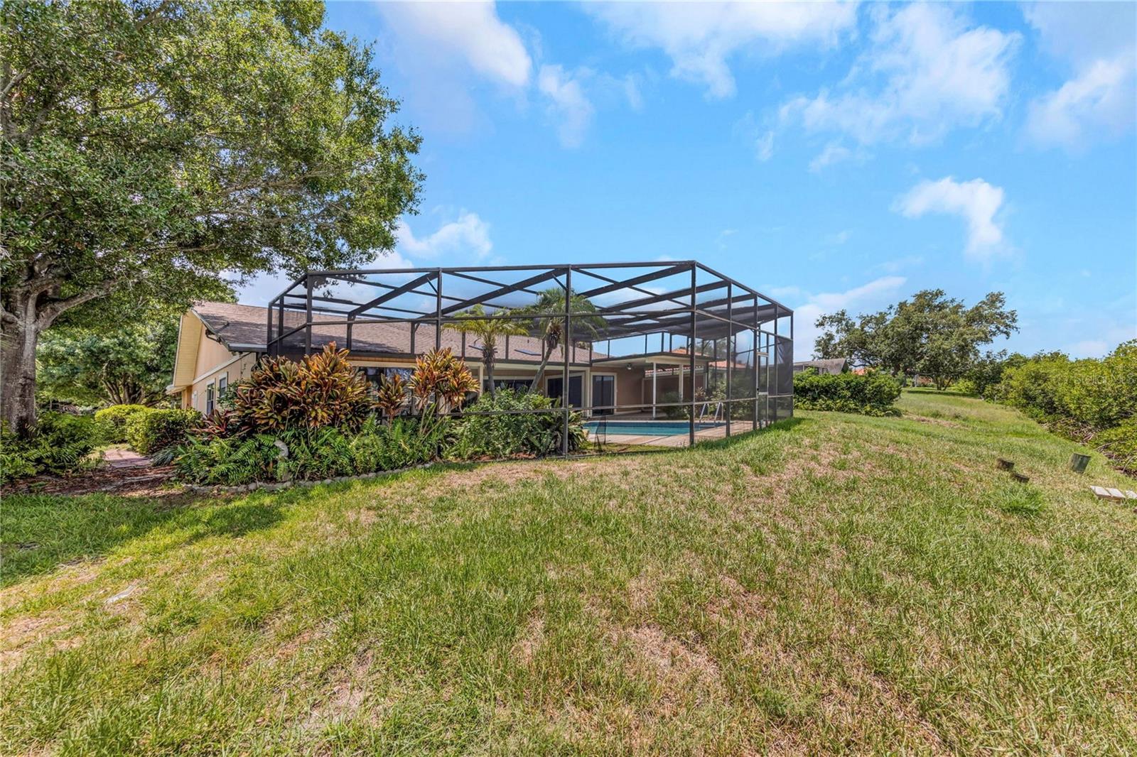 Rear Yard - Reverse View