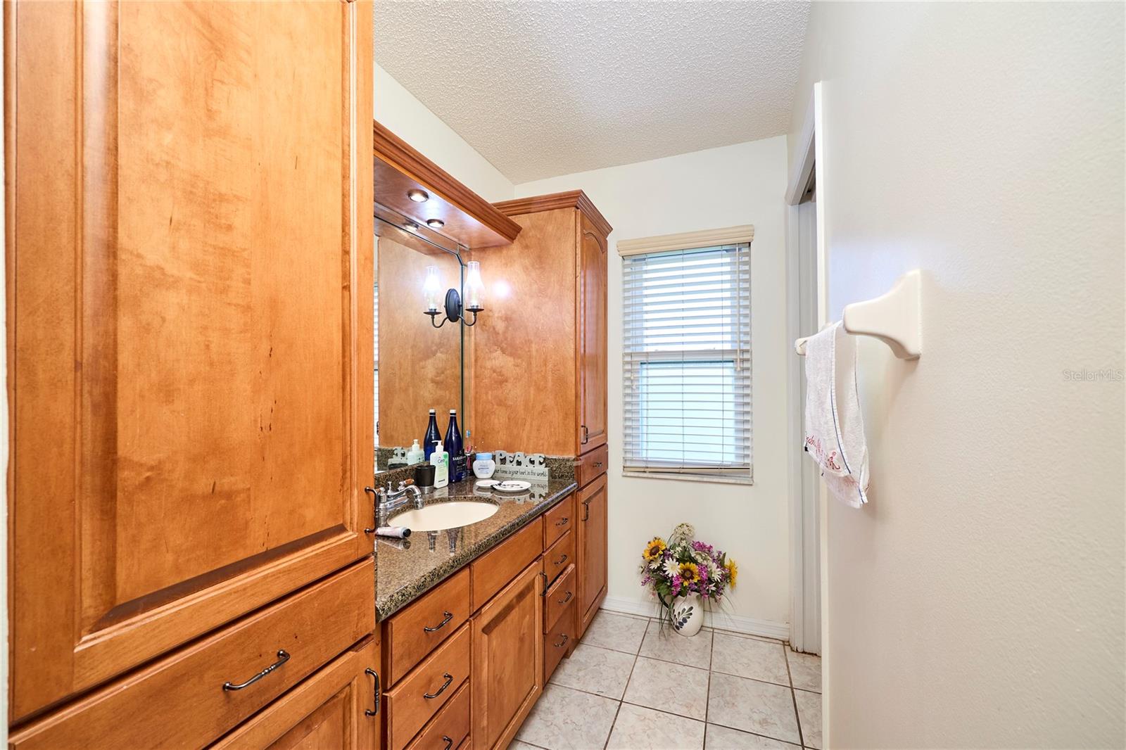 311 THORN HILL PLACE, Sun City Center, FL 33573