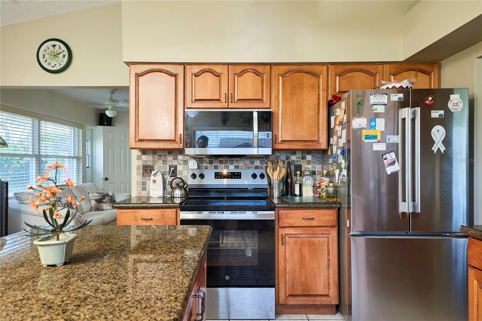 311 THORN HILL PLACE, Sun City Center, FL 33573